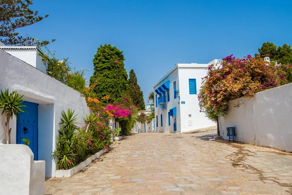 Uma vista de uma rua com casas branco-azuis decoradas com flores na bela cidade Sidi Bou Said na Tunísia — Fotografia de Stock