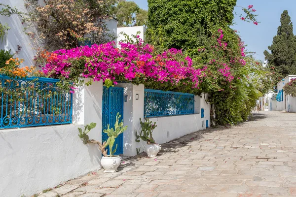 Cerca azul na cidade tunisina de Sidi Bou Said, com muitas flores coloridas, Tunísia — Fotografia de Stock