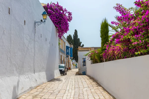 Rua velha com casas decoradas com flores na bela Sidi Bou Said cidade na Tunísia — Fotografia de Stock