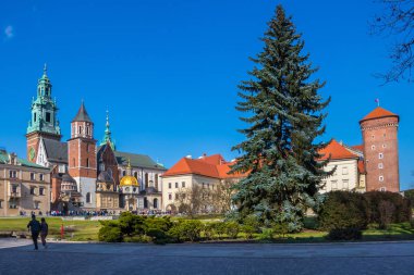 Krakow 'da güneşli bir gün. Wawel Katedrali, Polonya