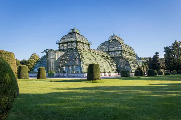 Jardín Botánico Palmenhaus Schonbrunn es un gran invernadero situado en el jardín del palacio schonbrunn en Viena, Austria . —  Fotos de Stock