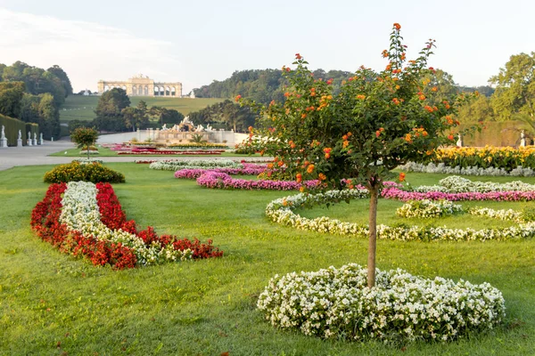 Viena, Austria - 3 de septiembre de 2019: Bandera austriaca de flores, vista al jardín Schoenbrunn Palace con flores de colores —  Fotos de Stock