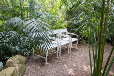 Viyana, Avusturya - 3 Eylül 2019: Avusturya 'nın Viyana kentindeki botanik bahçesinde çiçeklerle çevrili üç beyaz sandalye