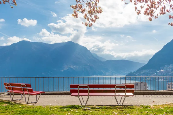 The Magnolia branches and the two empty red benches at the hill in Lugano, view at the Lake Lugano and Alps mountains in Ticino canton of Switzerland — Stock Photo, Image