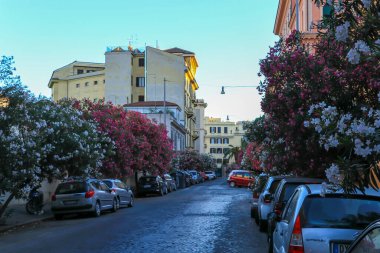 Roma, İtalya 'da zakkum ağaçlarıyla dolu dar bir sokak.