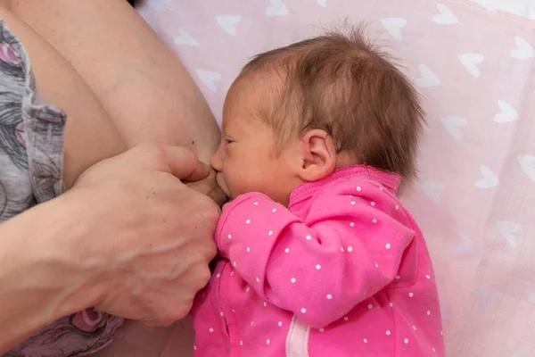 Baby isst Muttermilch. Mutter stillt Baby. Konzept der Stillzeit Säugling. das kleine Mädchen ist 15 Tage alt. — Stockfoto