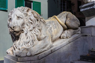 İtalya Cenova 'daki San Lorenzo katedralinin önünde ağlayan aslan.