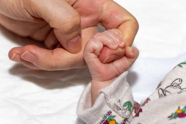 Close Main Focus Newborn Baby Holding Mother Hand — Stock Photo, Image