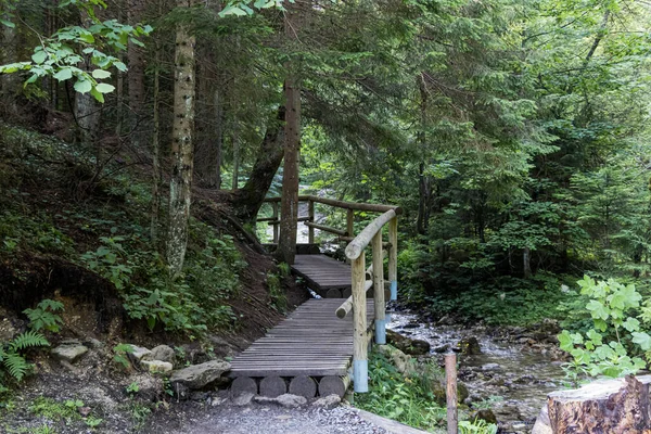 Wooden Bridge Mountain Stream Hikers Forest Slovakia — Stock Photo, Image