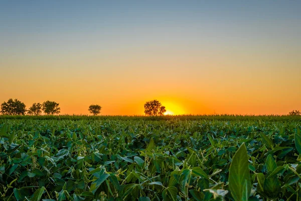 Schöner Sonnenaufgang Über Der Serbischen Landschaft — Stockfoto