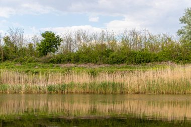 Sırbistan 'da Tuna-Tisa-Tuna kanal sistemi. Sel kontrolü ve hidroteknik yönetim için eşsiz bir hidromühendislik sistemidir.