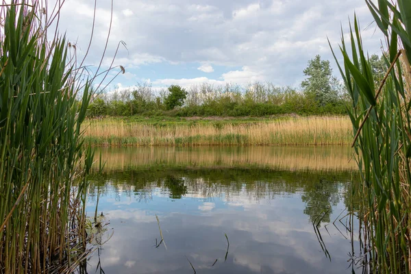 Hermoso Canal Corazón Voivodina Serbia — Foto de Stock