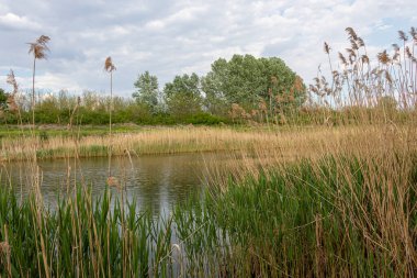 Sırbistan 'da Tuna-Tisa-Tuna kanal sistemi. Sel kontrolü ve hidroteknik yönetim için eşsiz bir hidromühendislik sistemidir.