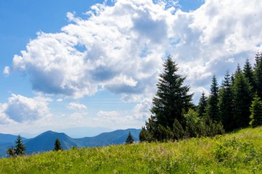 Çayır, orman, tepeler ve mavi gökyüzü olan dağ manzarası, Slovakya