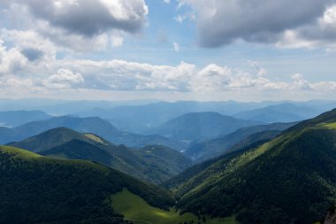 Slovakya 'da Çam Ormanı ile Dağ Manzarası