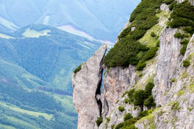 Slovakya 'nın Mala Fatra kentindeki büyük kayalık bir uçurum manzarası