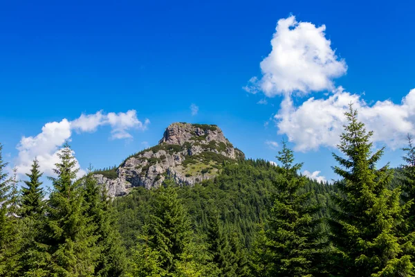Majestuosa Vista Una Montaña Norte Eslovaquia — Foto de Stock
