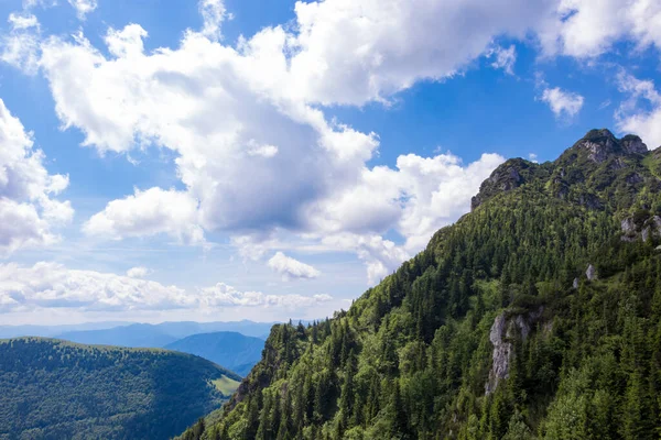Vistas Montaña Bosque Pinos Eslovaquia — Foto de Stock