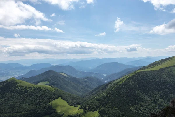 斯洛伐克的松树林蓝天山景 — 图库照片
