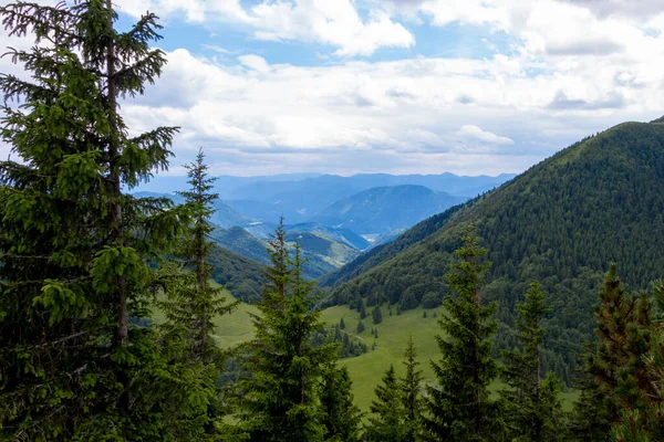 具有山脉的绿色山地草甸 斯洛伐克 — 图库照片