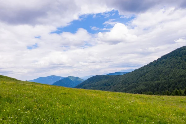 斯洛伐克北部有山脉的青山草甸 — 图库照片
