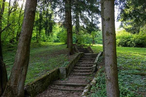 ブラチスラバ森林公園の郊外のレクリエーションとリラックスした場所の森の中の階段 — ストック写真