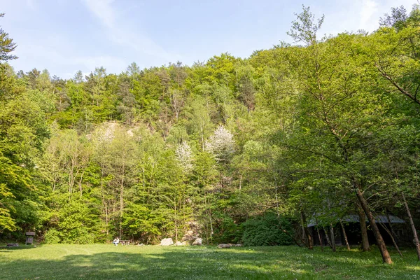 Bosque Lugar Recreativo Relajante Suburbano Parque Forestal Bratislava —  Fotos de Stock