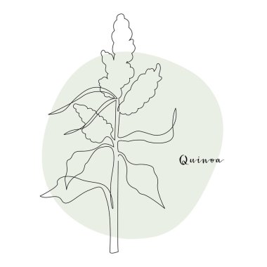 Devamlı çizgi kinoası, tahıl hasadı. Vektör hattı sanatı. Logo, ambalaj tasarımı ve simge için mükemmel