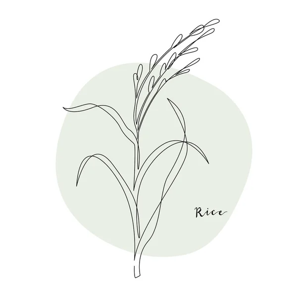 连续稻谷 粮食作物 矢量线艺术 完美的标志 包装设计 — 图库矢量图片