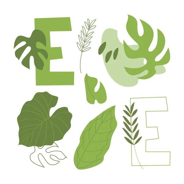 Carte Avec Lettres Vertes Aux Feuilles Tropicales Isolées Sur Fond — Image vectorielle