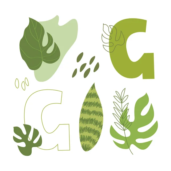 Κάρτα Πράσινα Γράμματα Τροπικά Φύλλα Που Απομονώνονται Λευκό Φόντο — Διανυσματικό Αρχείο
