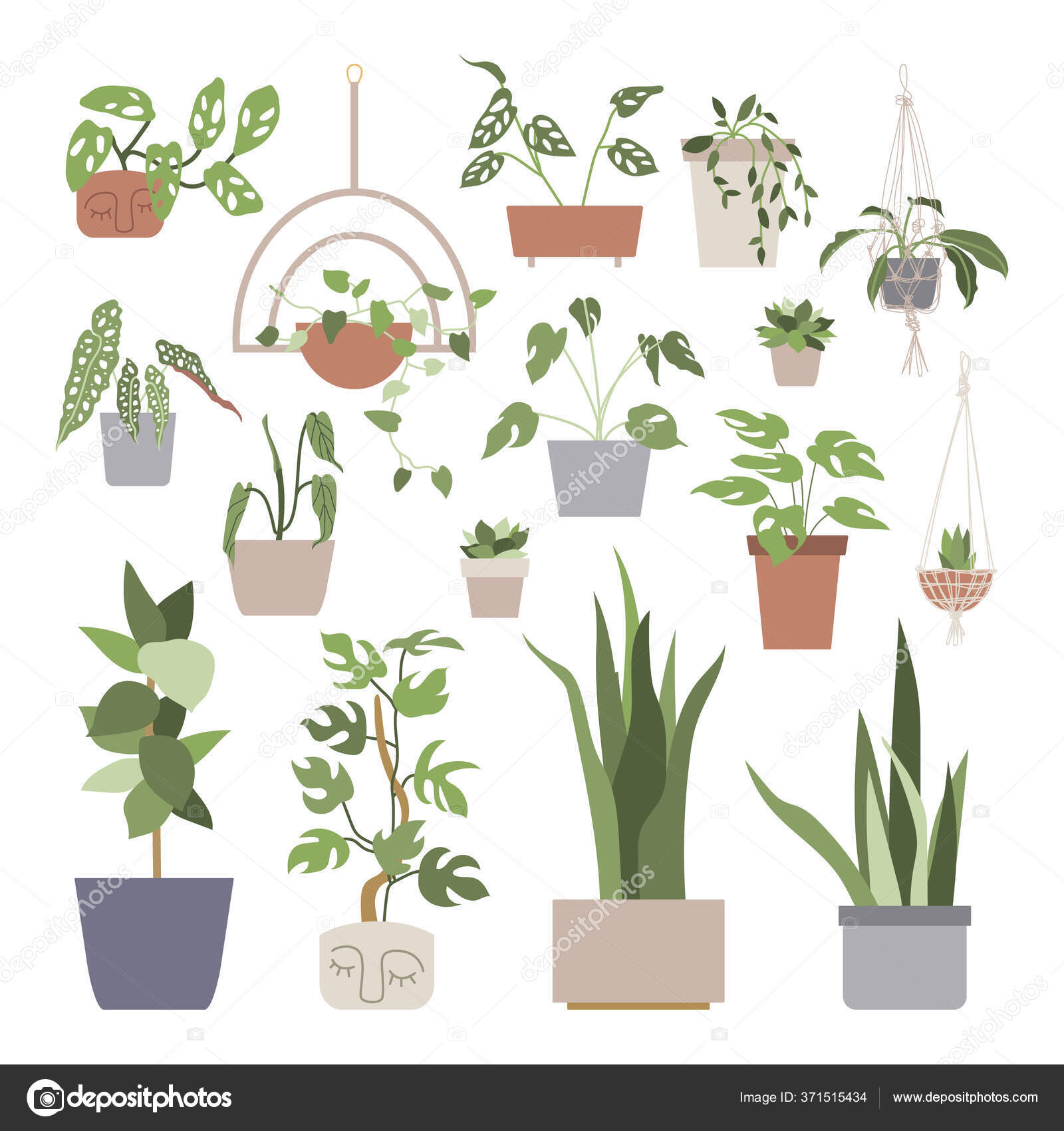 Collection De Décor Différent Maison Jardin Intérieur De Plantes En Pots Et  Tient Ensemble Graphique Vecteurs libres de droits et plus d'images  vectorielles de Flore - iStock