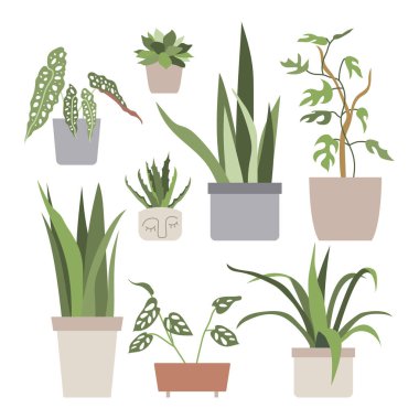 Çiçek saksılarında ev bitkileri olan büyük bir set. Şehir ormanı, bahçe işleri. Çizgi film tarzında elle çizilmiş vektör çizimi. Poster, etiket, baskı ve kart için mükemmel.