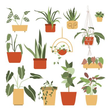 Çiçek saksılarında ev bitkileri olan büyük bir set. Şehir ormanı, bahçe işleri. Çizgi film tarzında elle çizilmiş vektör çizimi. Poster, etiket, baskı ve kart için mükemmel.