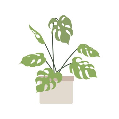 Çiçek saksısında ev bitkisi, vektör illüstrasyonu