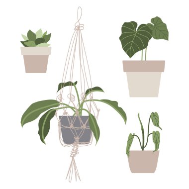 Çiçek saksılarında ev bitkileri olan büyük bir set. Şehir ormanı, bahçe işleri. Çizgi film tarzında elle çizilmiş vektör çizimi. Poster, etiket, baskı ve kart için mükemmel.