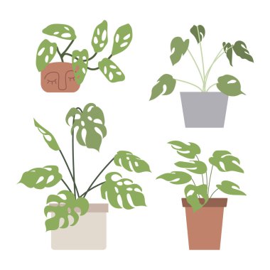 Çiçek saksılarında ev bitkileri olan büyük bir set. Şehir ormanı, bahçe işleri. Çizgi film tarzında elle çizilmiş vektör çizimi. Poster, etiket, baskı ve kart için mükemmel.