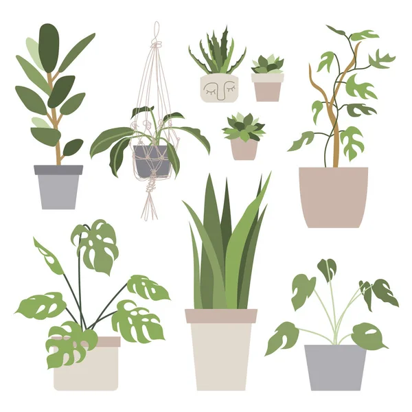 Big Set House Plants Flower Pots Urban Jungle Home Gardening — Stock Vector