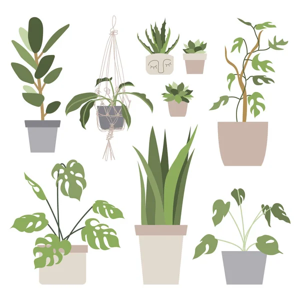 Gran Conjunto Con Plantas Casa Macetas Selva Urbana Jardinería Casa — Vector de stock