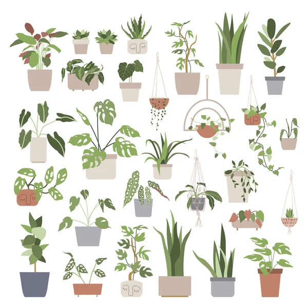 Gran Conjunto Con Plantas Casa Macetas Selva Urbana Jardinería Casa — Vector de stock