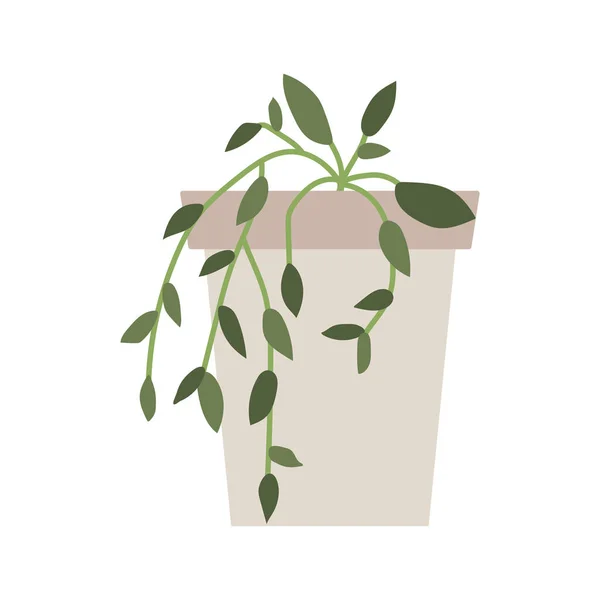 Домашнее Растение Цветочном Горшке Векторная Иллюстрация — стоковый вектор