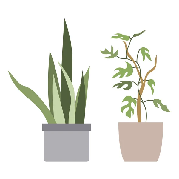 Huis Planten Bloempotten Vector Illustratie — Stockvector