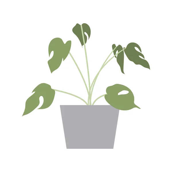 Домашнее Растение Цветочном Горшке Векторная Иллюстрация — стоковый вектор