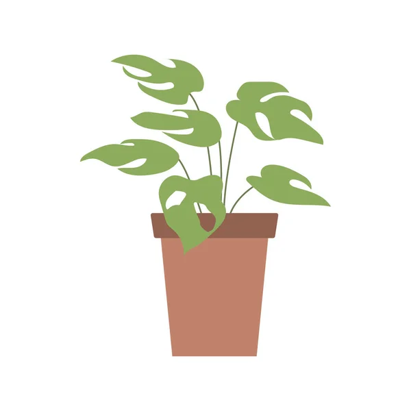 House Plant Flower Pot Vector Illustration — Stock Vector