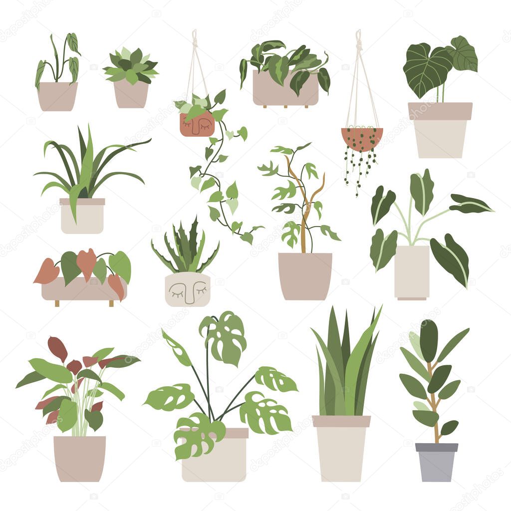 Big set with house plants in flower pots. Urban jungle, home gardening. Hand drawn vector illustration in flat cartoon style. Perfect for poster, sticker, print, card