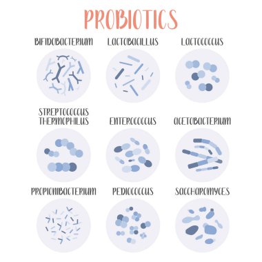 Probiyotik. Laktik asit bakterisi. Bağırsak ve bağırsak florası sağlığı için iyi bakteri ve mikroorganizmalar. Mikrobiyom. Bifidobakteryum, laktobacillus, laktokok, termophilus streptococcus, propionibacterium. Vektör büyük kümesi