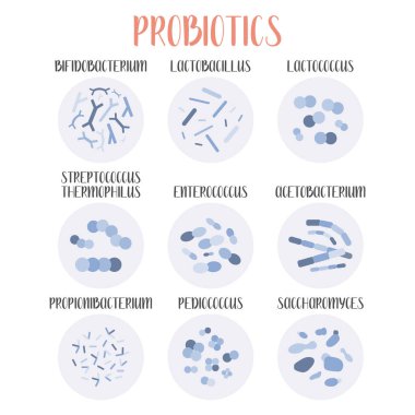 Probiotics. Lactic acid bacteria. Good bacteria and microorganisms for gut and intestinal flora health. Microbiome. Bifidobacterium, lactobacillus,  lactococcus, thermophilus streptococcus, propionibacterium. Vector big set clipart