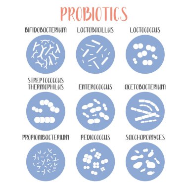 Probiotics. Lactic acid bacteria. Good bacteria and microorganisms for gut and intestinal flora health. Microbiome. Bifidobacterium, lactobacillus,  lactococcus, thermophilus streptococcus, propionibacterium. Vector big set clipart