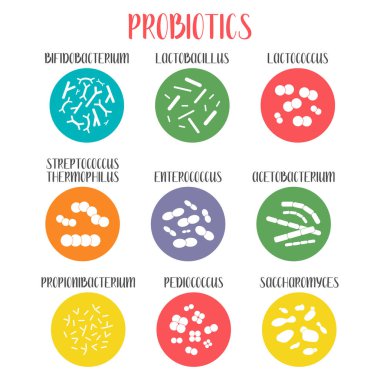 Probiyotik. Laktik asit bakterisi. Bağırsak ve bağırsak florası sağlığı için iyi bakteri ve mikroorganizmalar. Mikrobiyom. Bifidobakteryum, laktobacillus, laktokok, termophilus streptococcus, propionibacterium. Vektör büyük kümesi