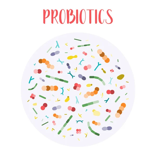 Probiotici Batteri Dell Acido Lattico Buoni Batteri Microrganismi Salute Intestinale — Vettoriale Stock